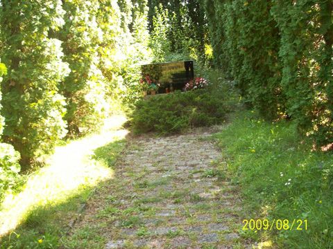 Foto 23